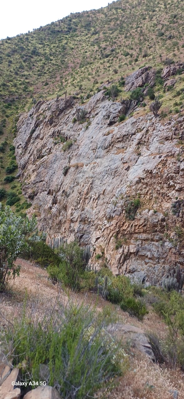 Ladera rocosa y vegetación junto a un sendero de la comunidad